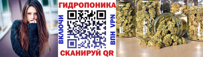 наркошоп  гидра ONION  Шишки марихуана план  Няндома 